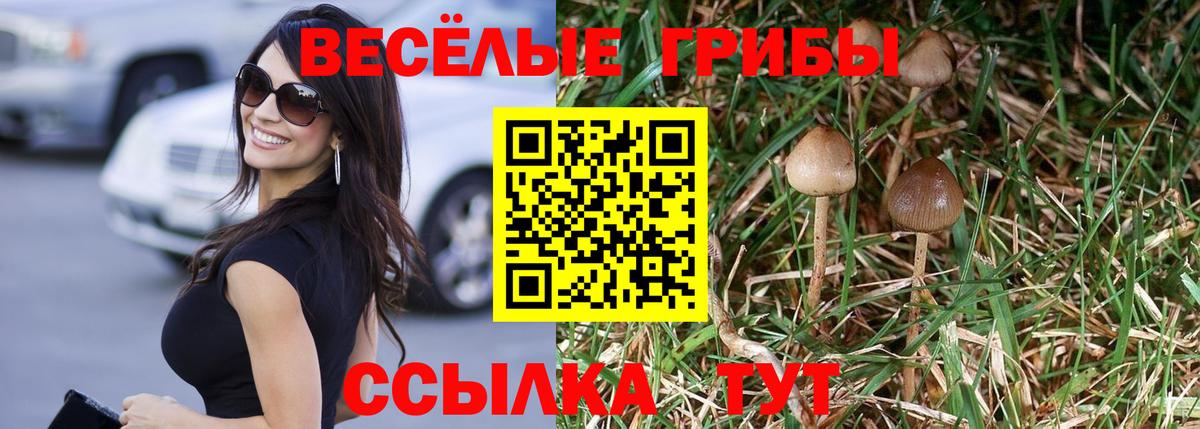Псилоцибиновые грибы GOLDEN TEACHER  Вход с VPN  Псилоцибиновые грибы ЛСД  Орск 