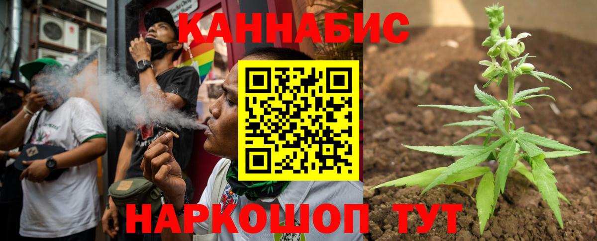 Марихуана план  Бошки Шишки ГИДРОПОН  Вход с VPN  Бошки Шишки Bruce Banner  Орск 